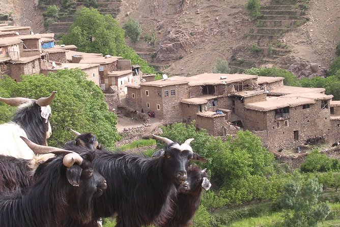 Private Guided Atlas Day Tour from Marrakech with lunch in a Berber family home - Key points to know before booking
