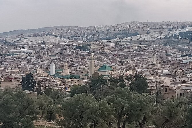 Private Guided Tour in Fez Medina - Moulay Idriss II and the religious heart of Fez