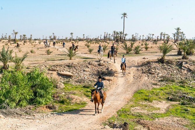 Private horseback ride in the Palmeraie of Marrakech - Key points to know before you book