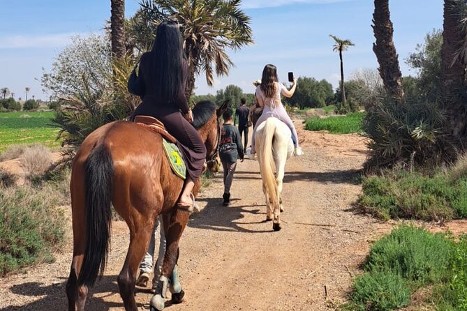 Private horseback ride in the Palmeraie of Marrakech - Meeting the horses and getting ready