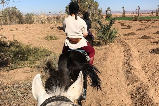 Private horseback ride in the Palmeraie of Marrakech - What the scenery feels like from the saddle