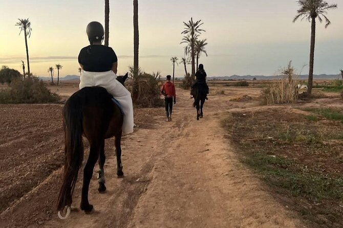 Private horseback ride in the Palmeraie of Marrakech - Is $45.36 good value?