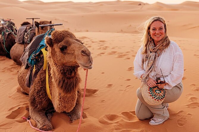Private Luxury Tents ,Camel ride and Sandboard in Merzouga Desert - Key points to know before booking