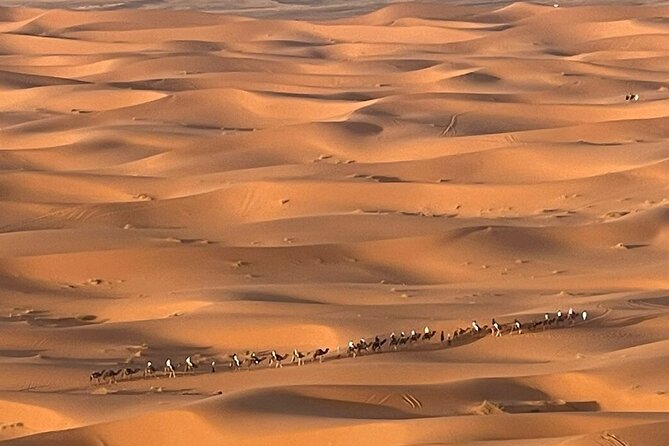 Private Luxury Tents ,Camel ride and Sandboard in Merzouga Desert - Sandboarding beside the sunset stop
