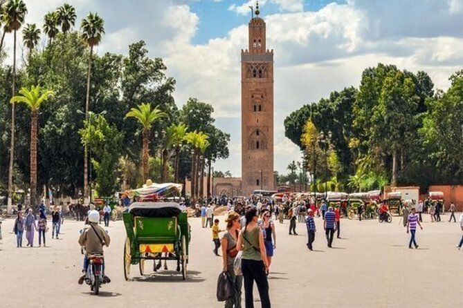 Private Marrakech Day Trip from Casablanca with Free Camel Ride - Camel riding in the Palmeraie