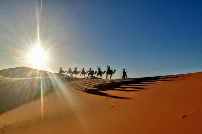 Private Sahara Discovery Tour from Marrakech to Fez in 4WD - Food, costs, and what to bring