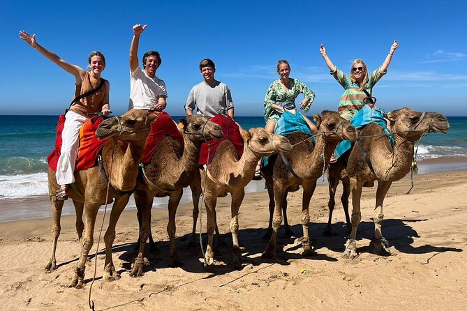 Private Tangier Tour from Ferry or Cruise Ship Including Lunch - A look at Tangier’s green spaces and royal connections
