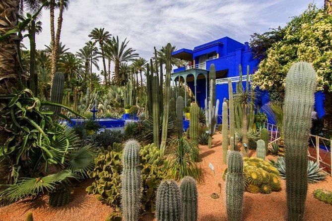Private Tour in Marrakech By Tuk Tuk - What the driver does, and what the driver does not do