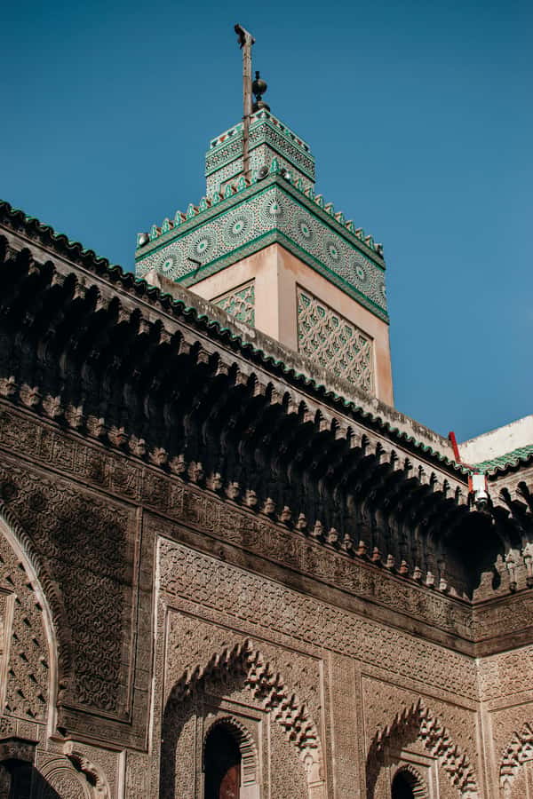 Private Tour –In Old Medina of Fez with a Professional Guide - Tanneries and the smell of traditional leatherwork