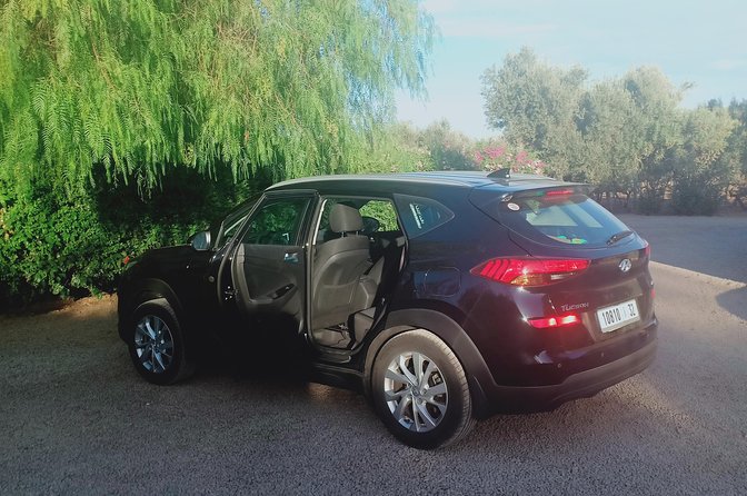 Private transfer Marrakech to Essaouira or Essaouira toMarrakech - Pickup in Marrakech, Essaouira, or at the airport