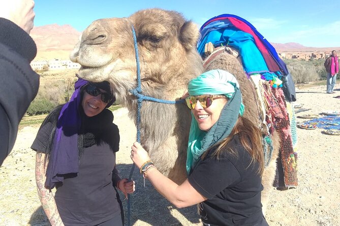Private Transport from Chefchaouen to Tangier - Who will benefit most from this transfer?