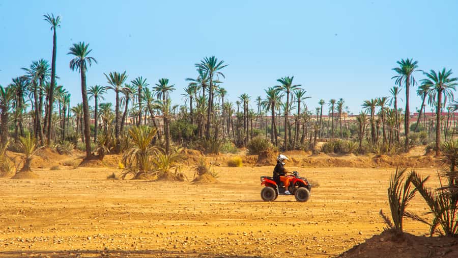 Quad Bike Activity in Marrakech Palmeraie - Who will enjoy this two-hour outing