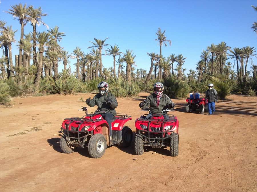 Quad Bike Activity in Marrakech Palmeraie - Timing, cancellation, and the small practical details