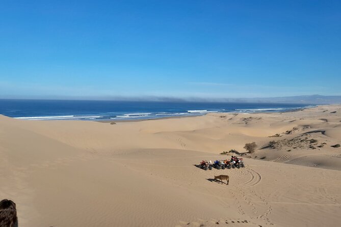 Quad Bike and Sandboarding on Sand Dunes Wild Beach - Why this Agadir outing feels like more than a quad circuit