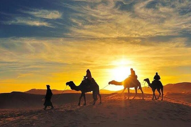 Quad Bike & Camel Ride & Dinner Show In Agafay Desert - What $30 really buys you