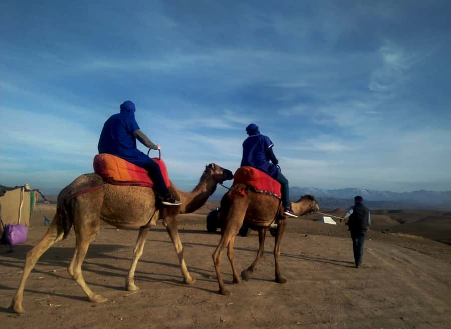Quad bike & Camel ride in Agafay with dinner at Chouf L’or - Quad biking across Agafay’s rocky terrain