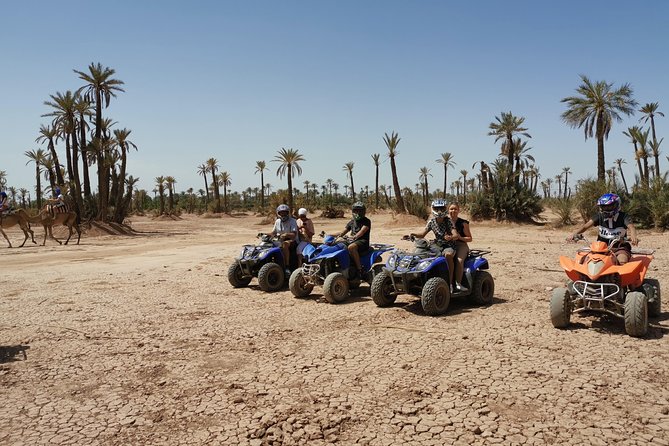 Quad, camel and dinner with show in the desert of Agafay - Tea, water, cookies, and a chance to slow down
