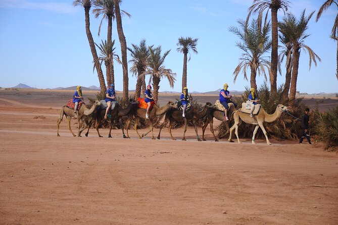 Quad Excursion in Marrakech with Pick-up from Hotel or Riad - Who should book this Marrakech activity?