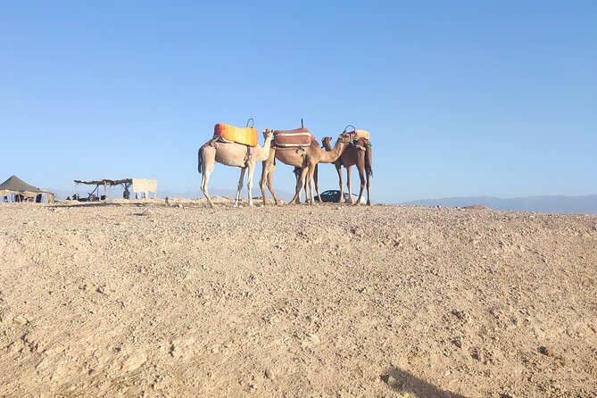 Quad excursion to the Agafay desert near Marrakech - Riding the Agafay tracks at sunset