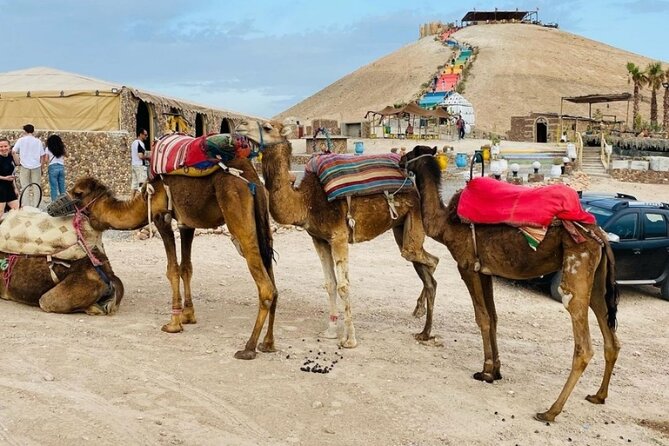 Quad excursion to the Agafay desert near Marrakech - Who will enjoy this Agafay outing most
