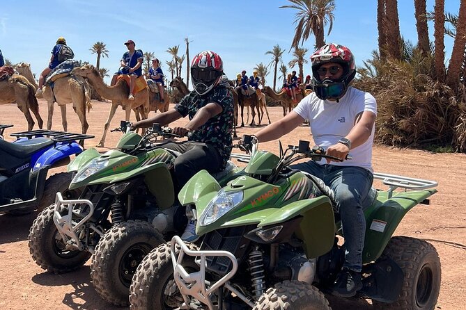 Quad in the Palmeraie of Marrakech - Key points to know before you book