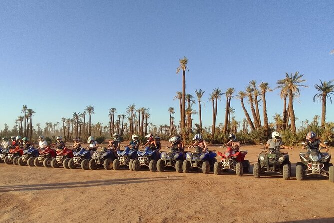 Quad ride at the desert of the Palmeraie of Marrakech - Moroccan tea, bread, honey, and olives