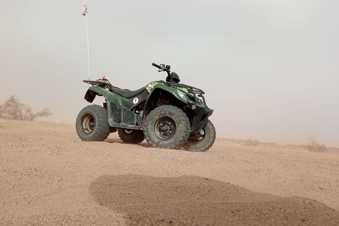 Quad tour in the palm grove desert - Riding beyond Marrakech’s city edge