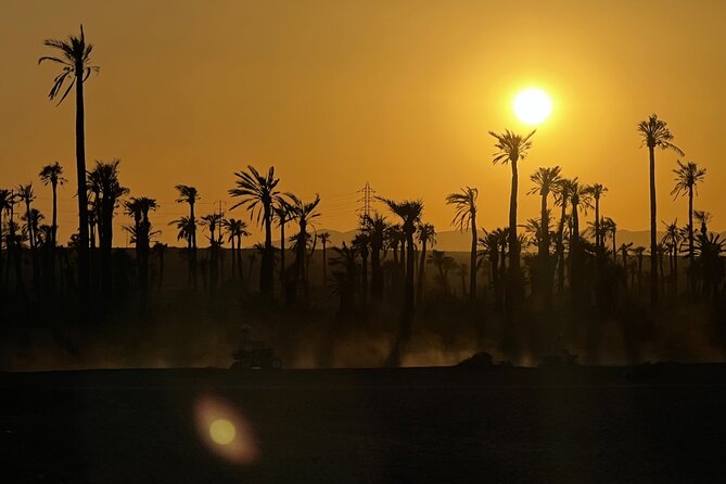 Quad tour to La Palmeraie de Marrakech - The first 45 minutes through the palms