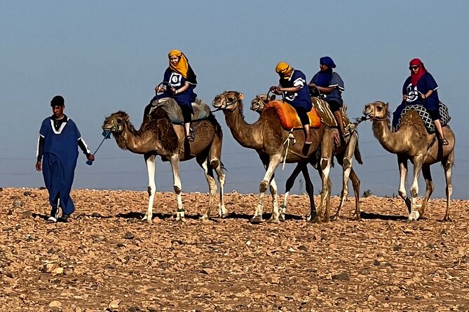 Quad tour to La Palmeraie de Marrakech - Safety and guide support