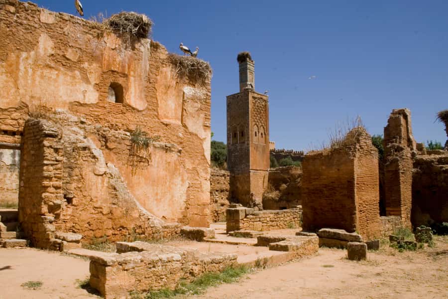 Rabat: Full-Day Trip from Casablanca - Chellah: the day’s archaeological stop