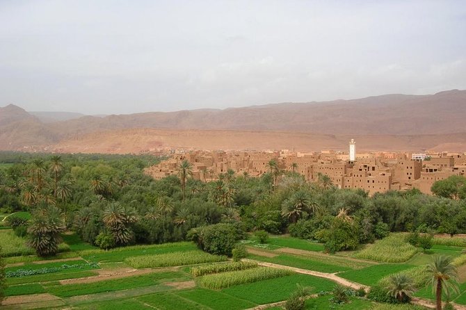 Sahara 3days/2nights mini-circuit - Is $101.19 good value?