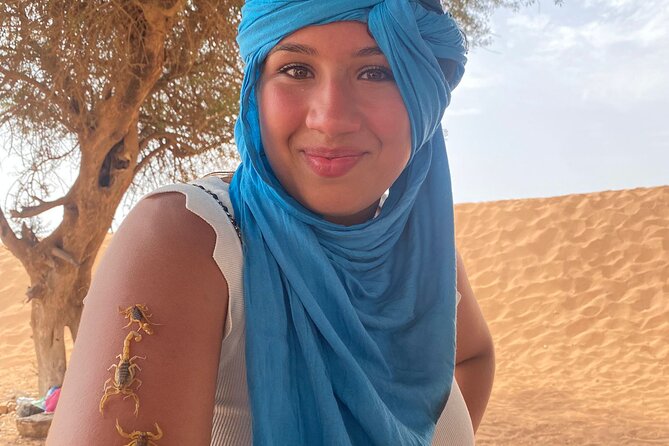 Sahara Day Trip from Agadir - A Quiet Sahara Stop