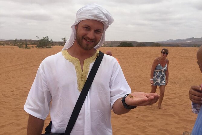 Sahara Day Trip from Agadir - Transport, Timing, and Comfort
