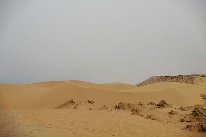 Sandboarding guided experience from Agadir - A Berber welcome with breakfast and mint tea