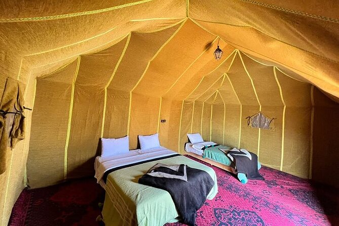 Sandboarding & Overnight in Merzouga Desert Camp Camel Trekking - Is $58.16 good value?