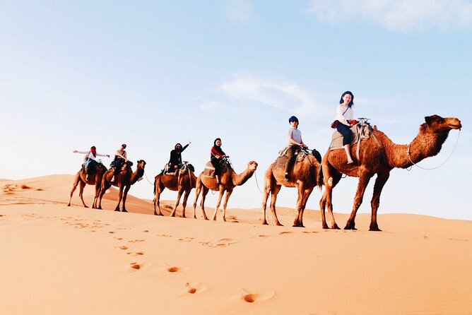 Shared Group 3 Days/2Nights: Fez to Marrakech Sahara Tour - Key points to know before booking