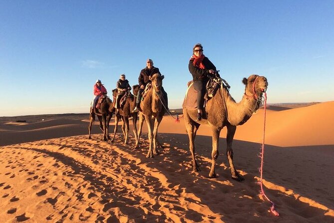 Shared Group 3 Days/2Nights: Fez to Marrakech Sahara Tour - Todra Gorge and the long road to Ouarzazate