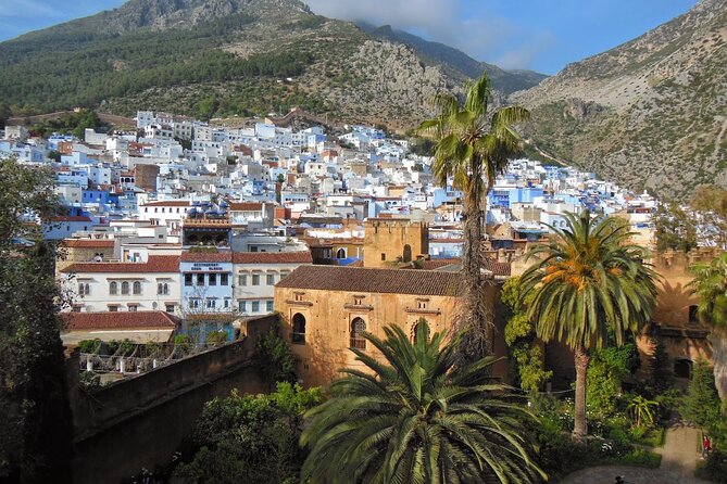 Shared Group Chefchaouen Day Trip from Fez - Practical advice for making the day work
