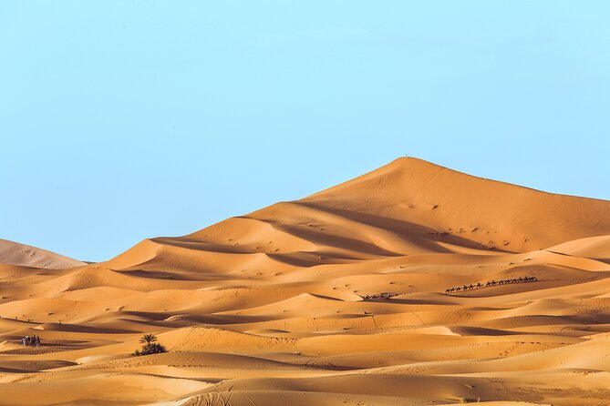 Shared Group Desert Tour Fes To Marrakech Via Merzouga 3 Days - Comfort, group size, and guide expectations