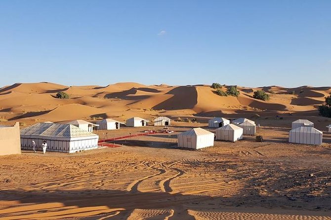 Shared Group Desert Tour Fez to Fez via Merzouga 2Days /1night - Day one: leaving Fez for Ifrane and the Middle Atlas