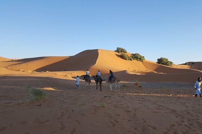 Shared Group Desert Tour Fez to Fez via Merzouga 2Days /1night - The Ziz Valley and Erfoud before the dunes