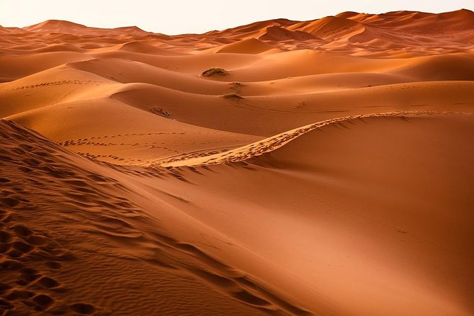 Shared Group Desert Tour from Marrakech for 3 days - Day two: Todra Gorge and the road to Merzouga