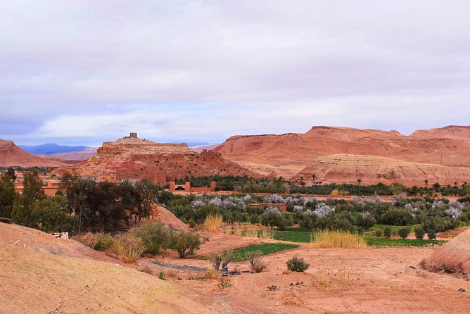 Shared Group Desert Tour from Marrakech for 3 days - Transport, group size, and the pace