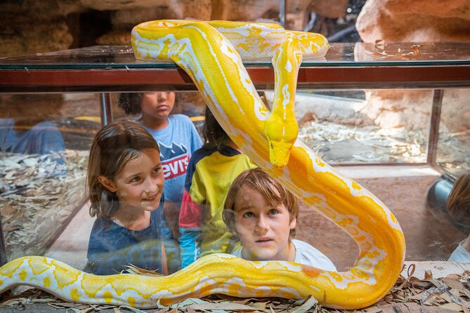 Skip the Line Ticket to Crocoparc with Optional Transfert - How long should you allow?