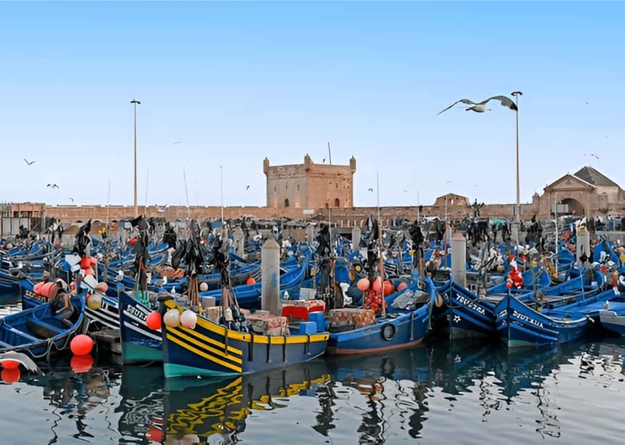Small-Group Day Trip from Marrakech to Essaouira Mogador - Key points to know before booking