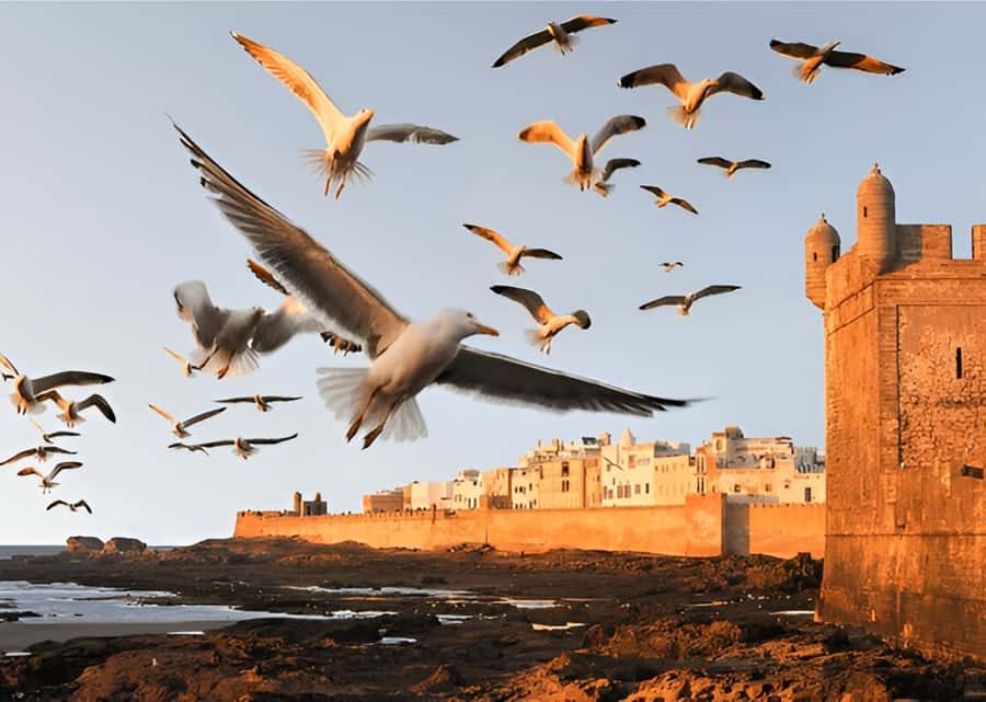 Small-Group Day Trip from Marrakech to Essaouira Mogador - Why Essaouira makes a good escape from Marrakech