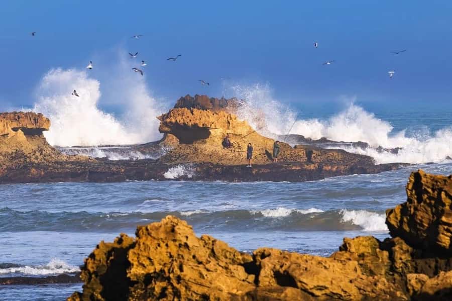 Small-Group Day Trip from Marrakech to Essaouira Mogador - The early pickup and road west