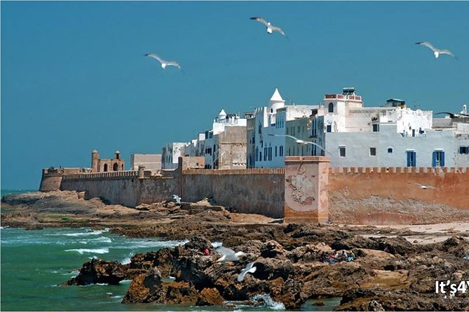 Small-group Day Trip to Essaouira from Marrakech - The old port and a fish-market lunch