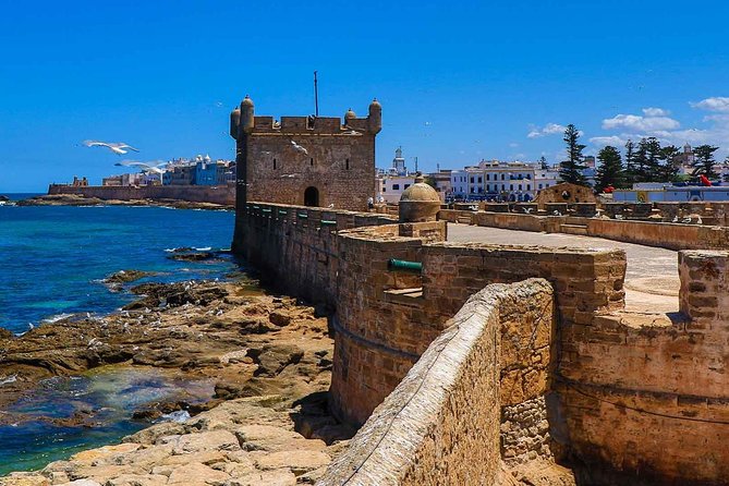Small-group Day Trip to Essaouira from Marrakech - The 8:00 am pickup and the road west