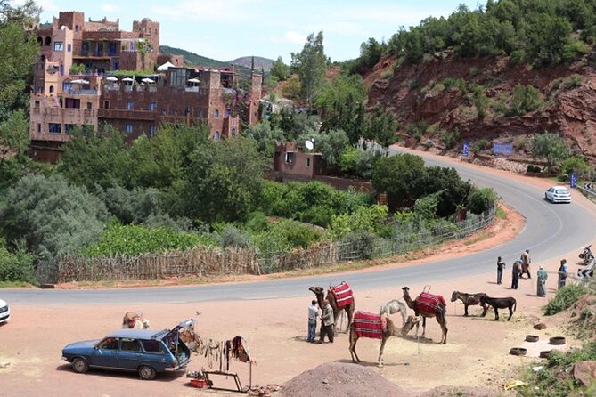 Small Group Day Trip to Ourika Valley & Atlas Mountains - Who will get the most from this outing